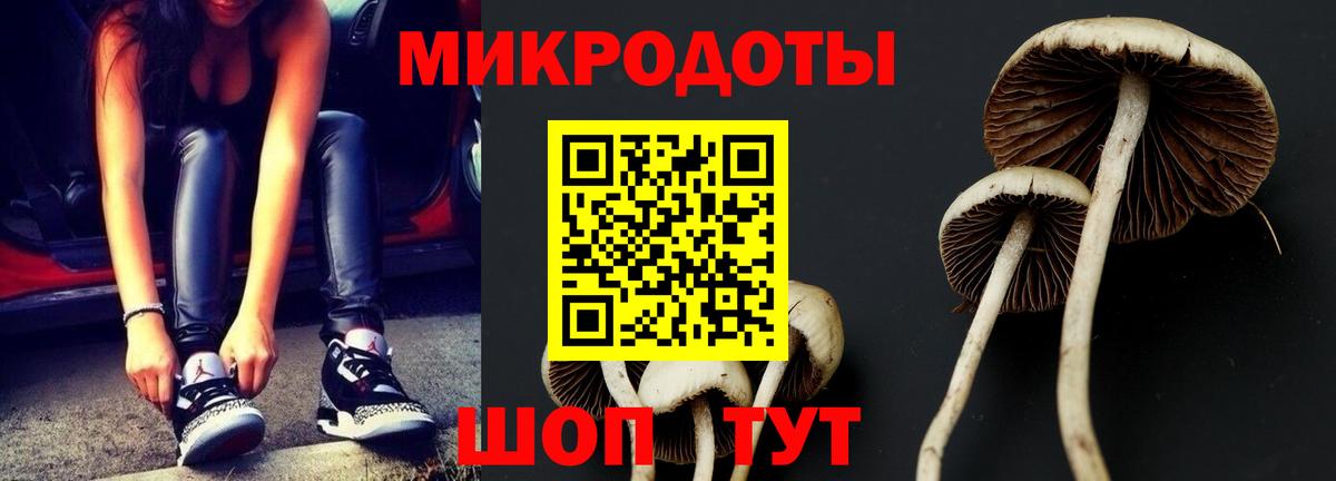 Псилоцибиновые грибы мухоморы Ачхой-Мартан