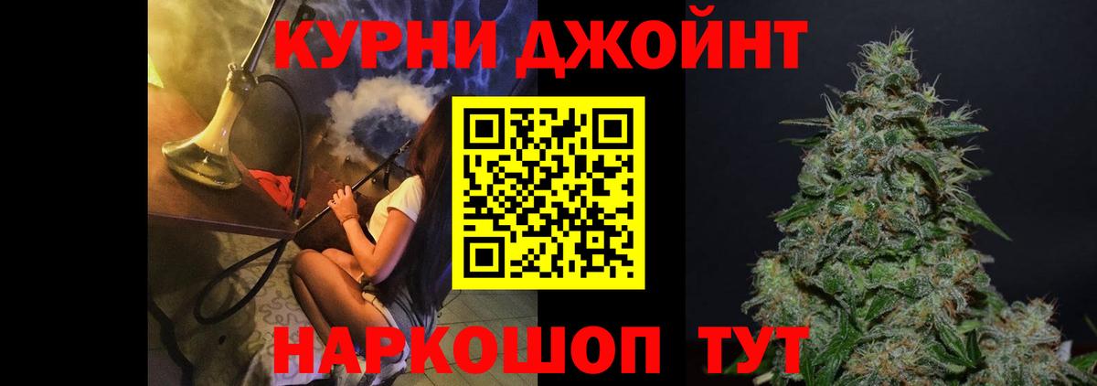 Конопля гибрид Ачхой-Мартан
